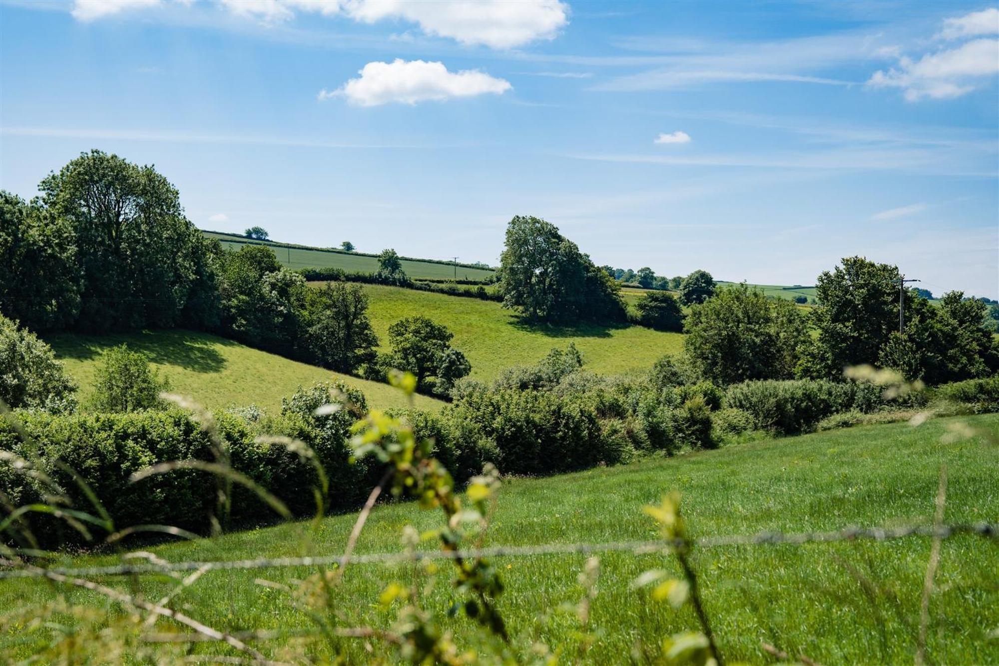Enchanted Retreats At West Ford Devon South Molton Quarto foto