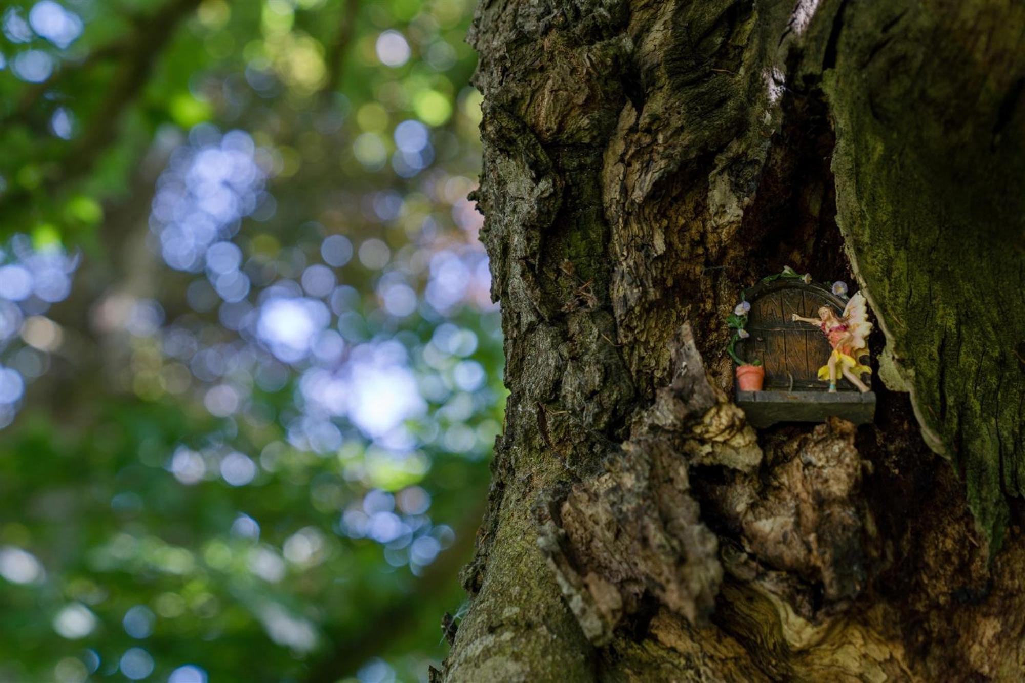 Enchanted Retreats At West Ford Devon South Molton Quarto foto